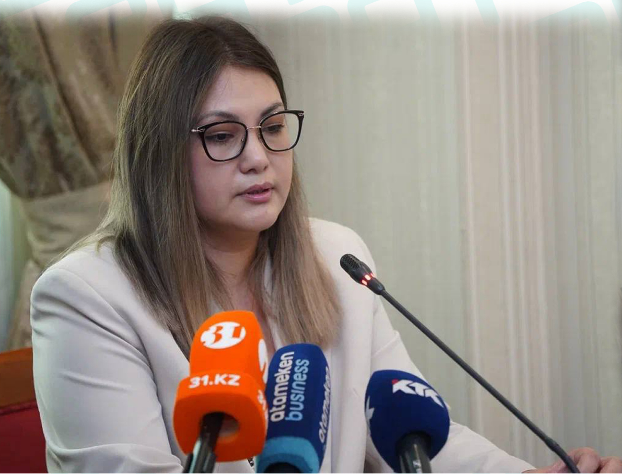 Спикер перед микрофонами СМИ